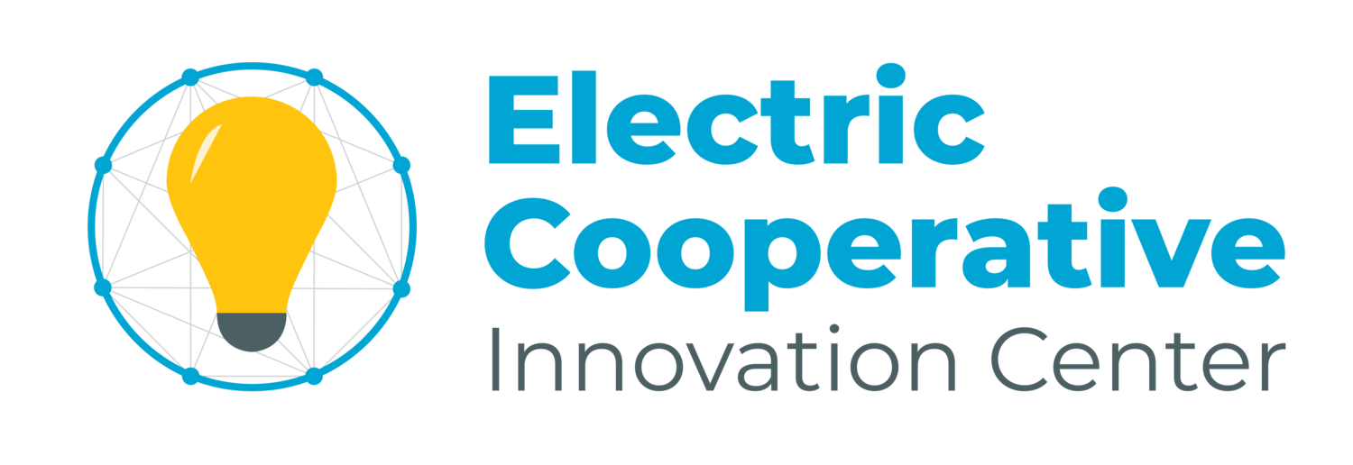 Rural Electric Cooperatives Energy and Efficiency Institute