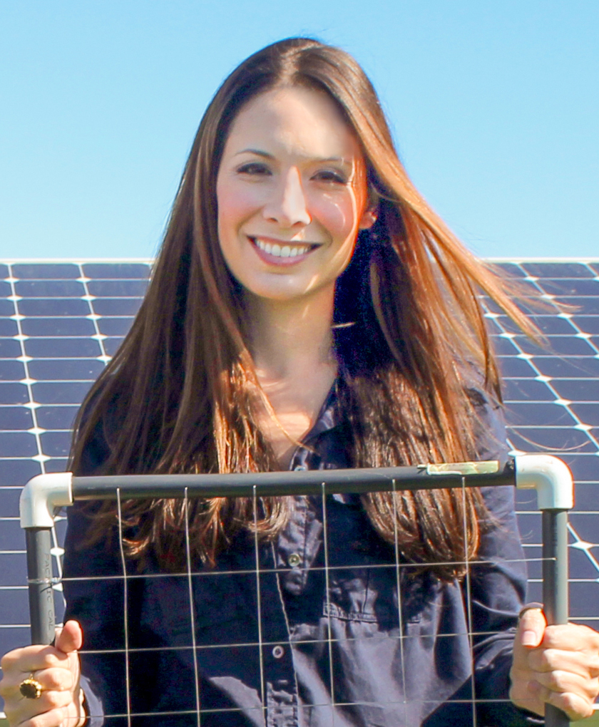 Professor Hernandez stands in solar field