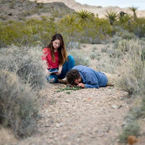 A young woman and a man examine desert plants in a natural landscape, highlighting the importance of.